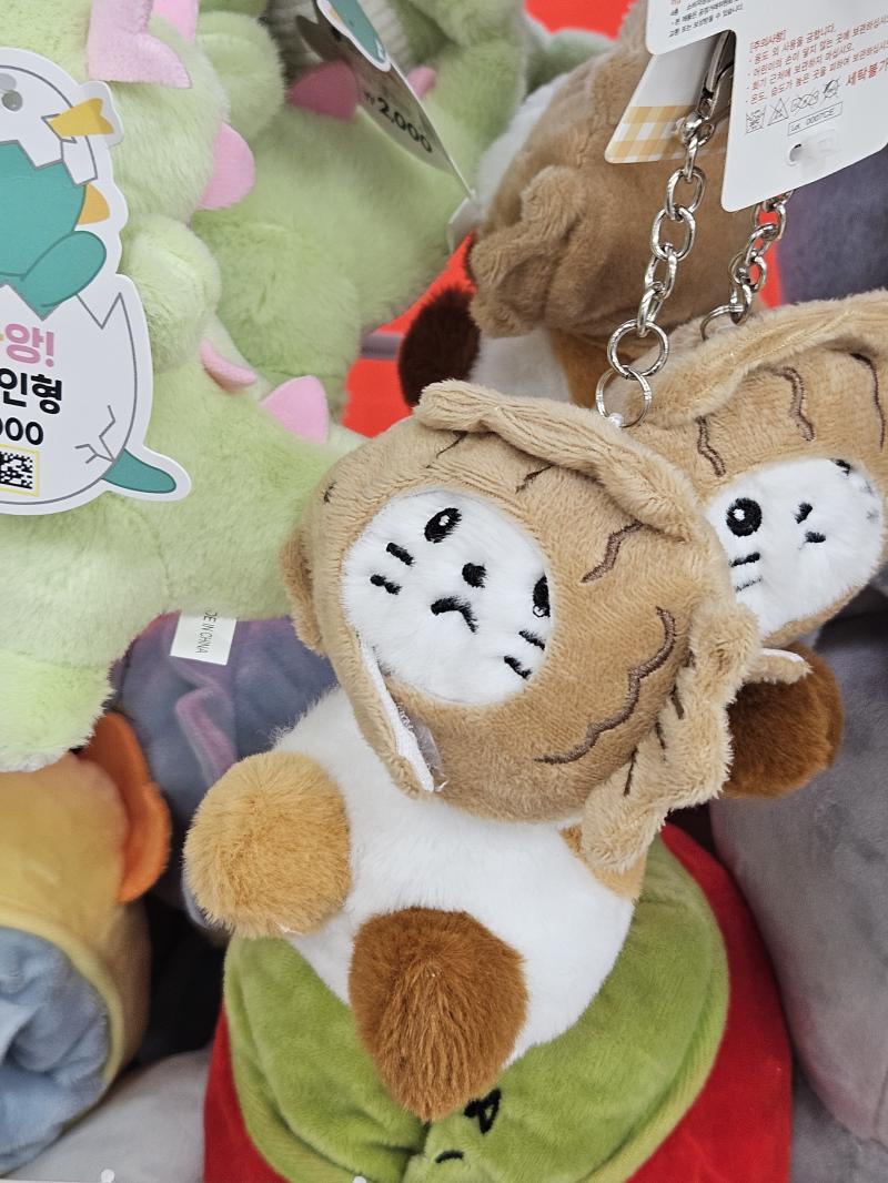 붕어빵 탈 쓴 고냥이 귀여운 인형을 보면 사진을 찍는 버릇이 있어. . ... .