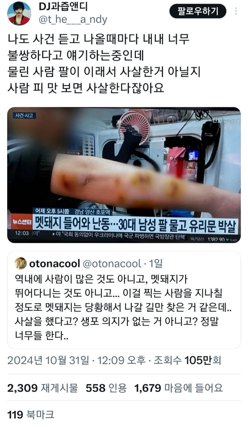 진짜 대단한 동물권 운동가 납시었다....사람이 저렇게 다쳤는데 왜 구지 사살 했어야만 하냐고 하네 멧돼지를 가축 돼지 수준으로 아는건가ㅋㅋㅋㅋ