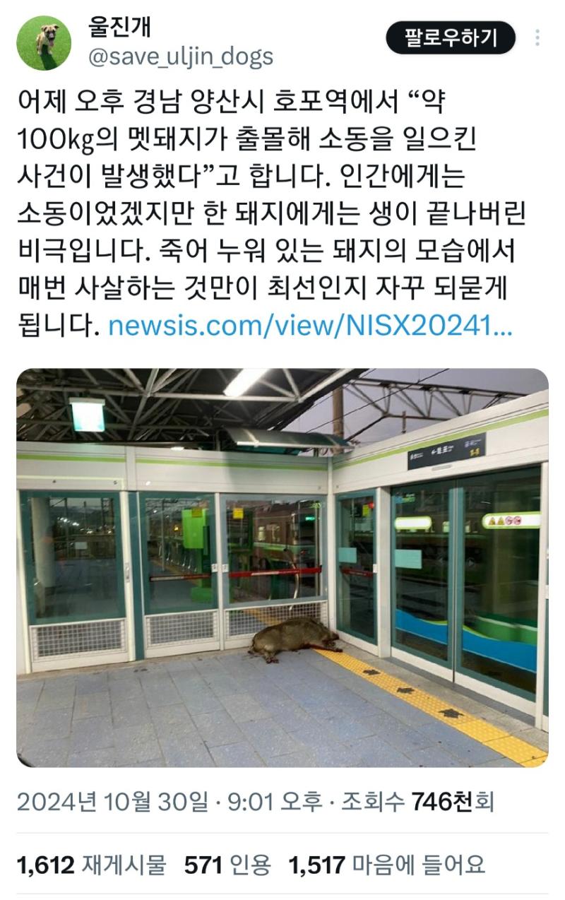 진짜 대단한 동물권 운동가 납시었다....사람이 저렇게 다쳤는데 왜 구지 사살 했어야만 하냐고 하네 멧돼지를 가축 돼지 수준으로 아는건가ㅋㅋㅋㅋ