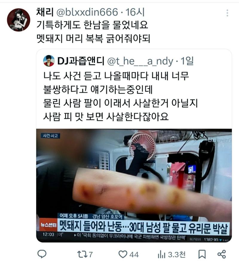 >>63 제대로 알지도 못하면서 남자가 먼저 자극했을거라느니 한남 물어서 잘했다느니 이 지랄하는거 보면 내가 얘네랑 같은 사람이라는게 안 믿겨짐