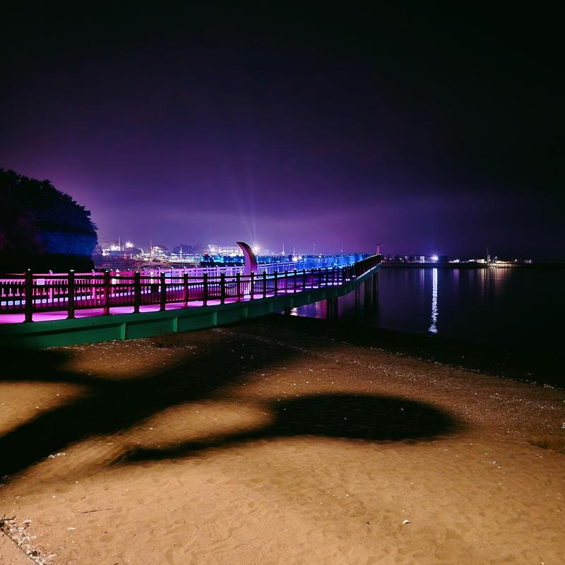 밤바다 구경도 해 주고🌙