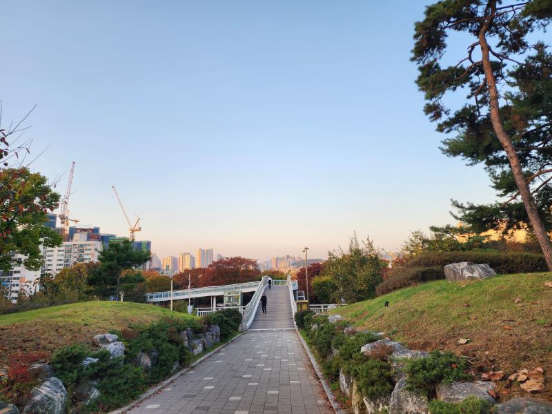 뱅쇼 사진 그냥 올리기. 인천시청~예술회관쪽 공원들도 진짜 좋다.