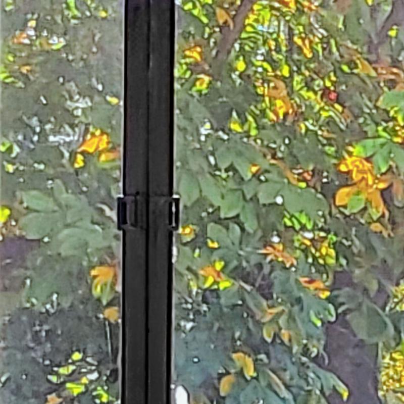 가을의 한폭을 담은 우리집🍂