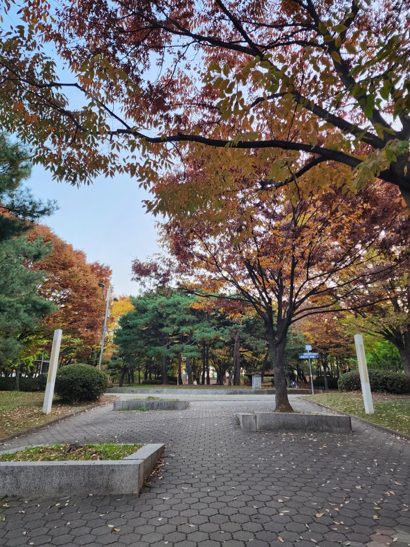 여긴 거의 산 경사... 그래도 가을 끝자락을 눈에 담으니까 좋다.