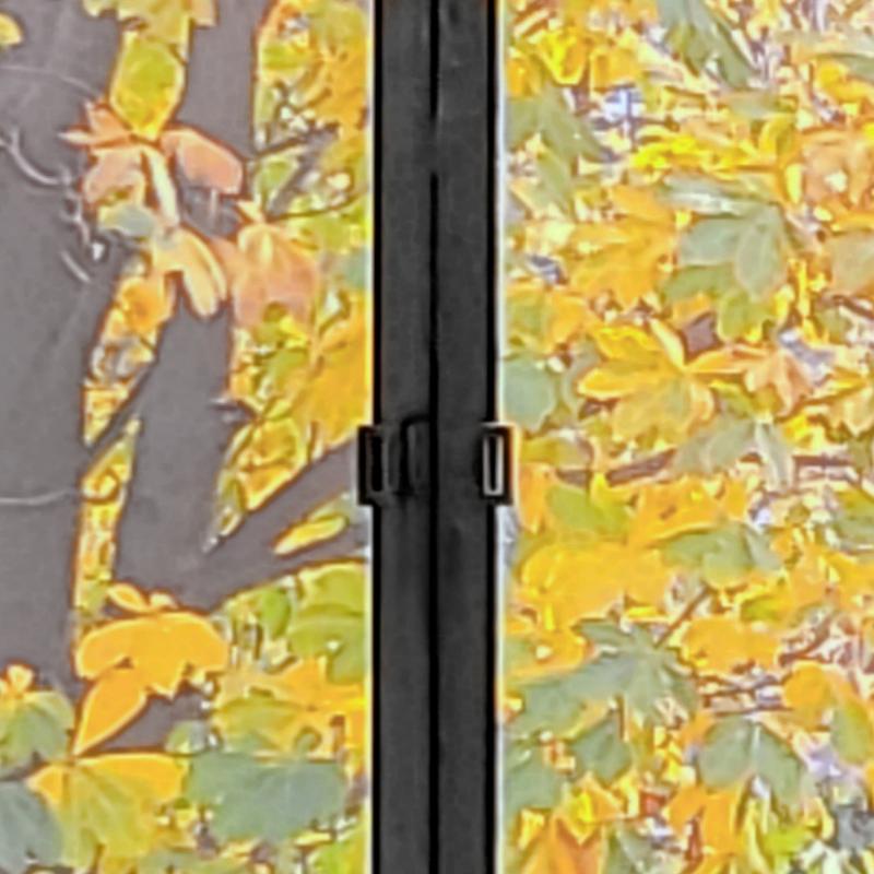 이건 21년도 사진🍂