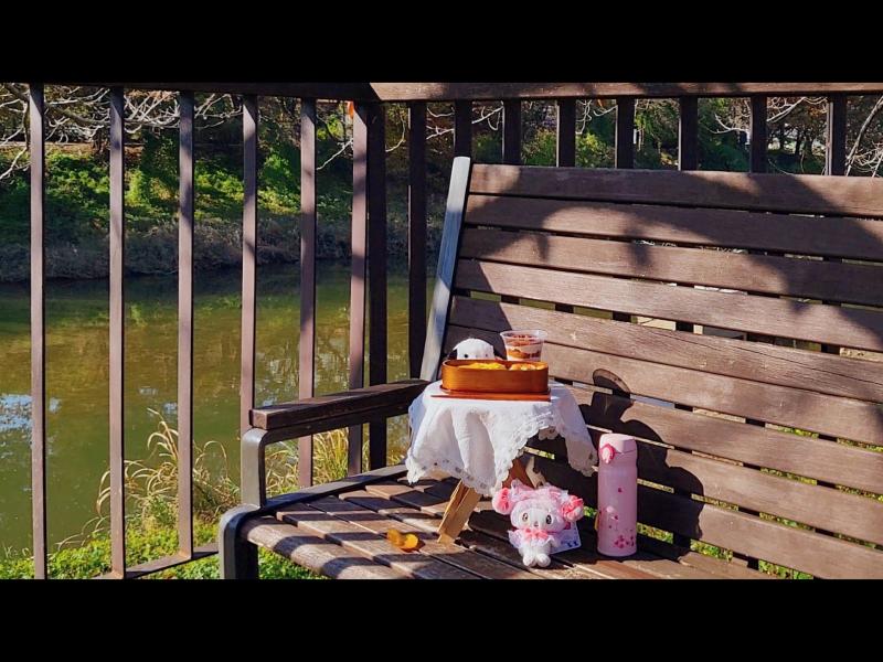 영화 너낌으로 찍어본🎞🖤
