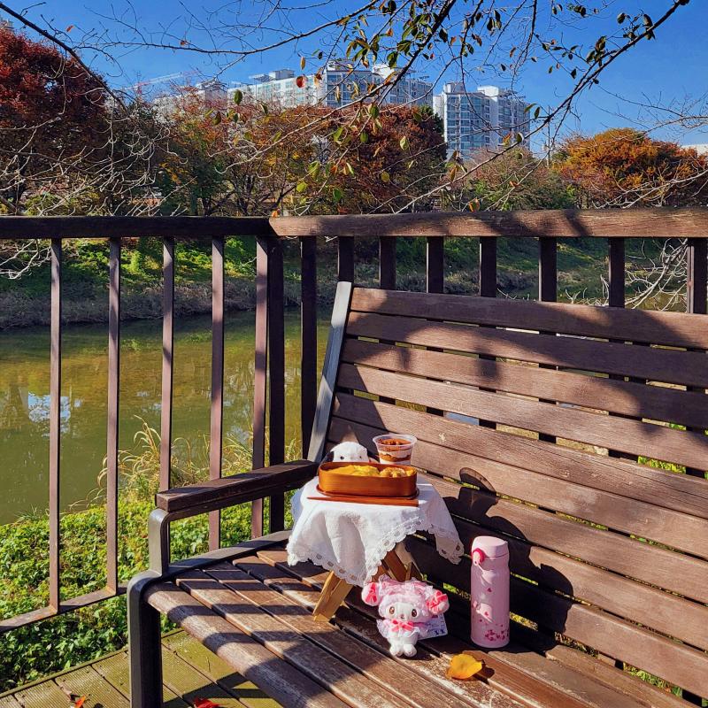 김치볶음밥🍳 만두🥟 치킨너겟🍗 방울토마토🍅 넷플릭스 마롱티라미수🍰 💬 피크닉 다녀 왔쑵니당 가을의 마지막이라고 하고 싶지만 겨울의 시작인..ㅋㅋ
