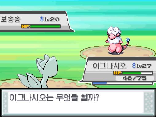42번도로에서 포켓몬과 만날 수 있는 횟수: 최대 0회/현재 1회 42번도로에서 트레이너와 배틀할 수 있는 횟수: 최대 1회/현재 1회 42번도