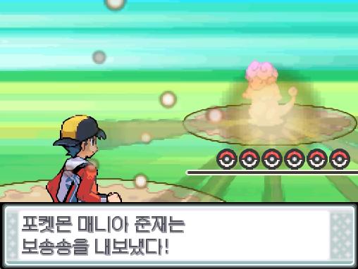 42번도로에서 포켓몬과 만날 수 있는 횟수: 최대 0회/현재 1회 42번도로에서 트레이너와 배틀할 수 있는 횟수: 최대 1회/현재 1회 42번도