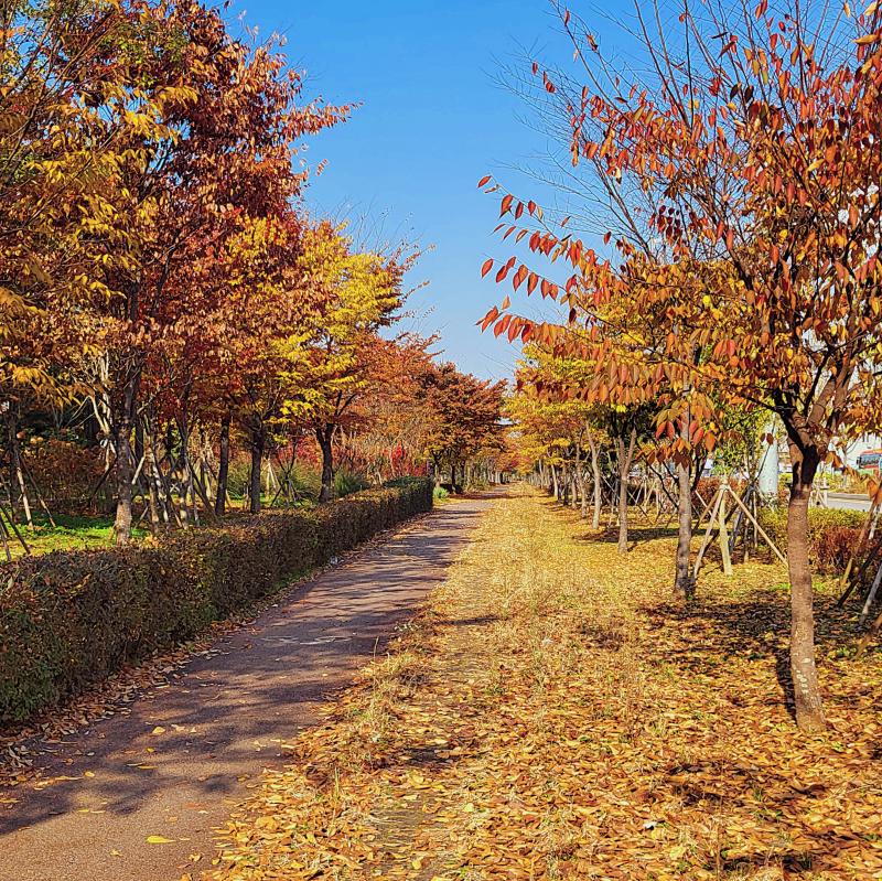 가을🍂