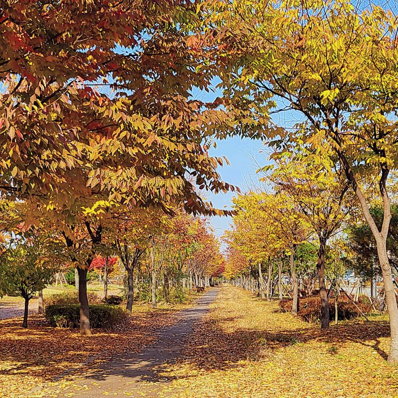 가을🍂