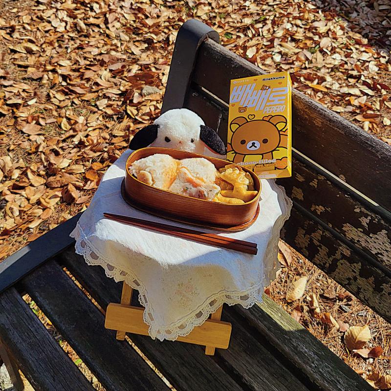 주먹밥🍙 만두🥟 치킨너겟🍗 어묵🍥 💬 오늘도 나홀로 피크닉🩷요즘 혼자만의 시간이 필요해