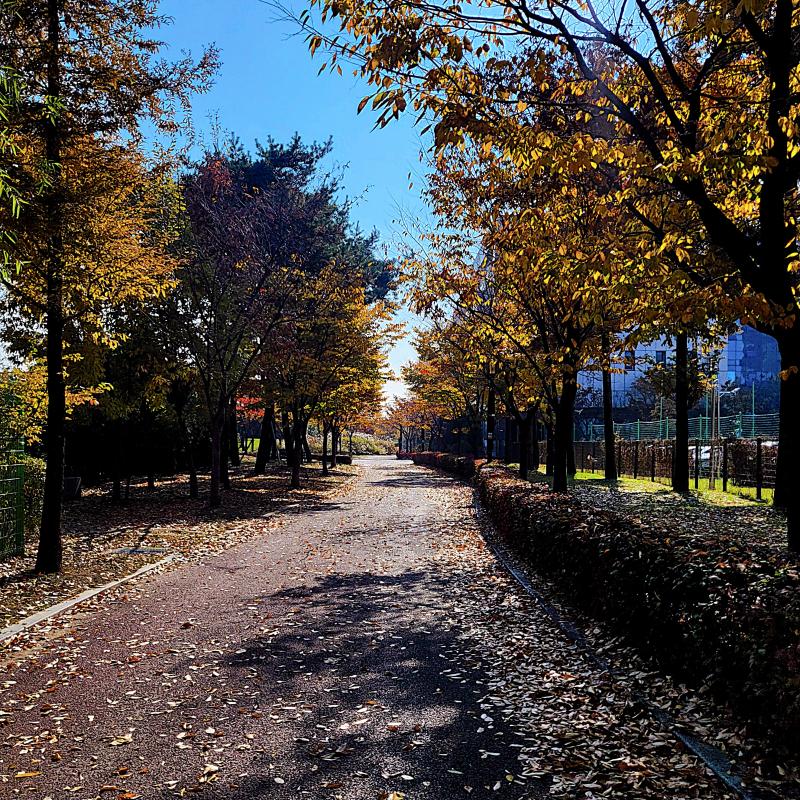 가을🍂