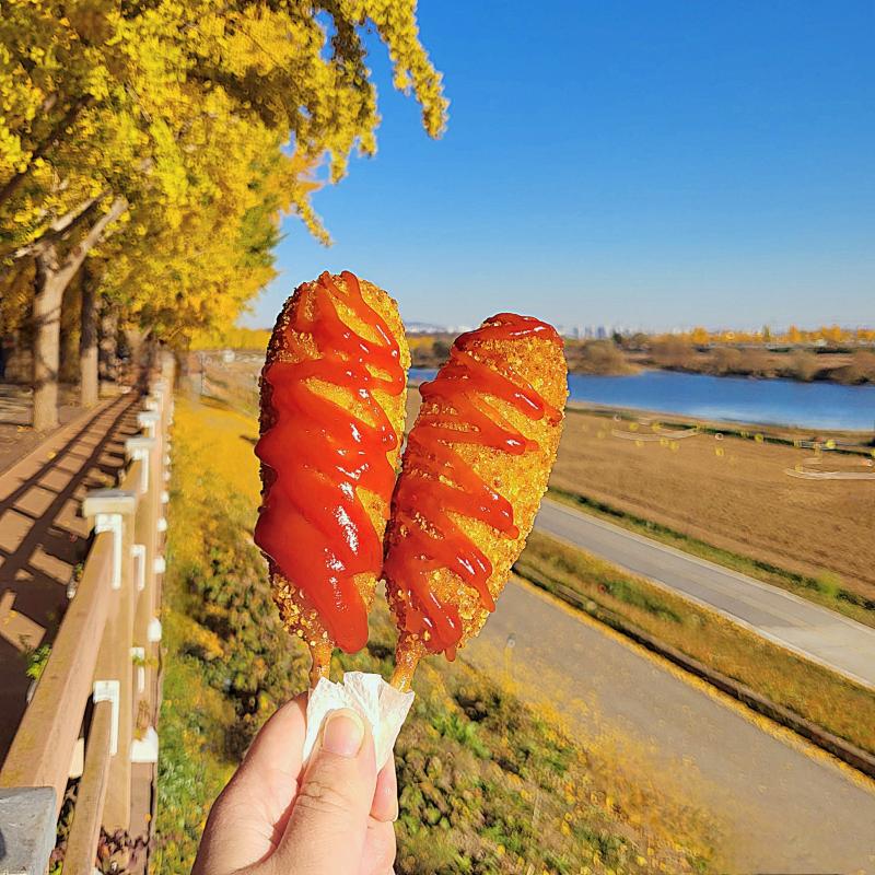 핫도그🌭 은행잎 쌀빵🧇 💬 푸드트럭도 있길래 후식 사 머굼 평일이라 열린곳이 몇곳 없어서 핫도그랑 은행잎 쌀빵을 샀는데 핫도그는 맛은 있는데 소