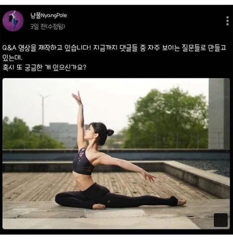 한 폴댄스 유튜버의 Q&A 대참사