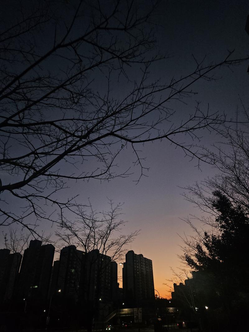 화장 대신 잠을 택하고 출근하러 나옴!ㅋㅋㅋㅋ 아침놀이 이쁘네🌅