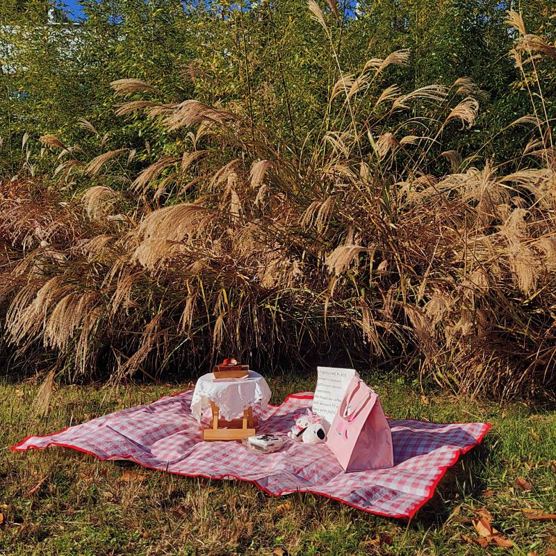 마지막 가을 즐기기🍁🍂❤️화, 수, 목 비 오고 눈 온다니까 남아있는 잎들도 다 떨어지겠지🥹🥹🥹