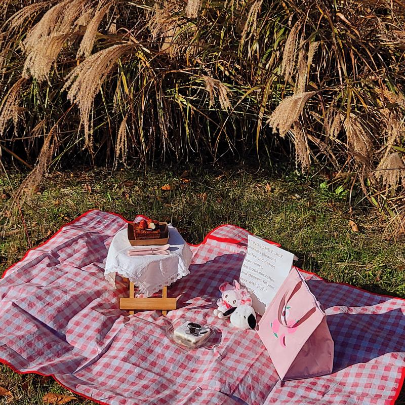 마지막 가을 즐기기🍁🍂❤️화, 수, 목 비 오고 눈 온다니까 남아있는 잎들도 다 떨어지겠지🥹🥹🥹