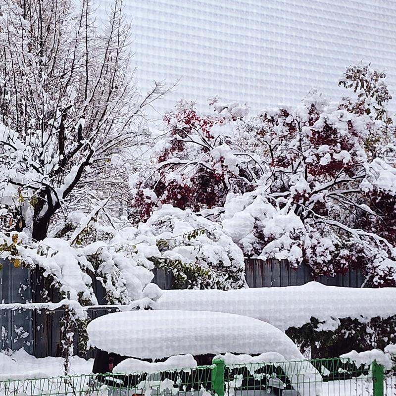 아침에 일어나니 그곳은..겨울왕국이 되어 있었습니다❄️