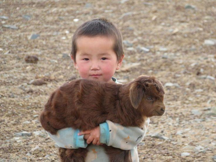 애기랑 염소