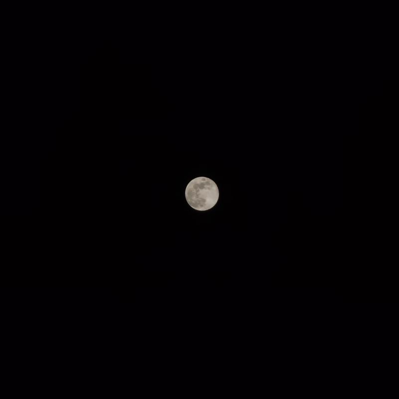 2024년 마지막 보름달🌕