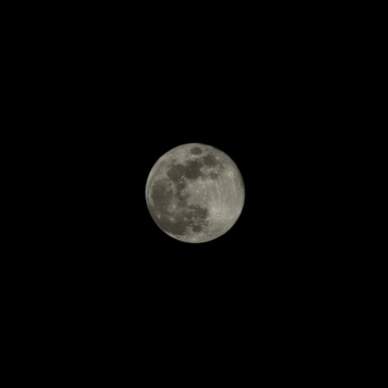 2024년 마지막 보름달🌕