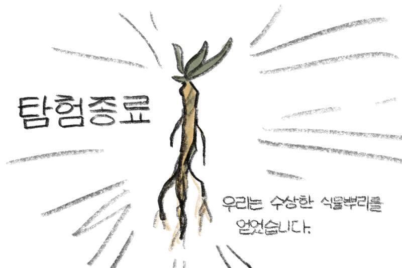 진행도가 100을 달성했기 때문에 탐사를 종료합니다! 우리는 성공적으로 '아주아주 수상한 식물 뿌리'를 획득했습니다! 이제 우리는 다시 닌자 마