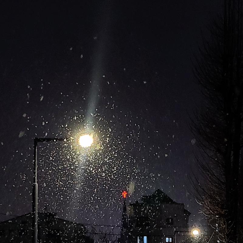 오늘은 집 앞이 아니구 집 뒤로 가서 눈 맞았는데 색다르게 보여따 마치 스노우볼 같아써❄️🩵