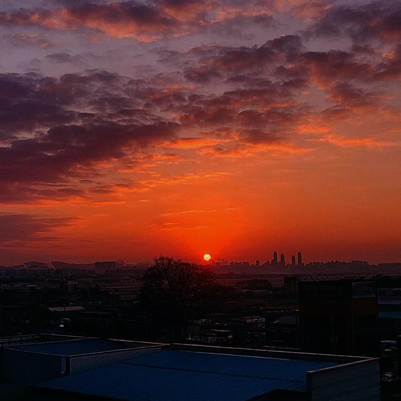 2025 첫 해돋이☀️🩷해돋이 처음 보는 것도 아니고 어제도 봤는데 볼 때마다 뭉클해져