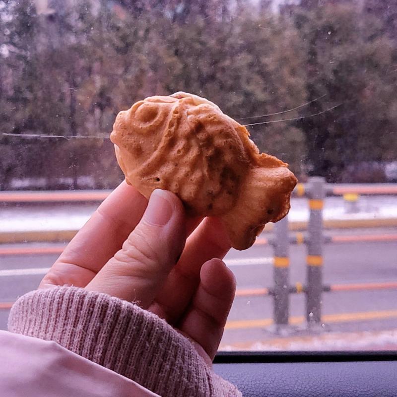 미니 붕어빵🐟 💬 오는 길에 미니붕 머것다 난 역시 슈크림이 최애🩷