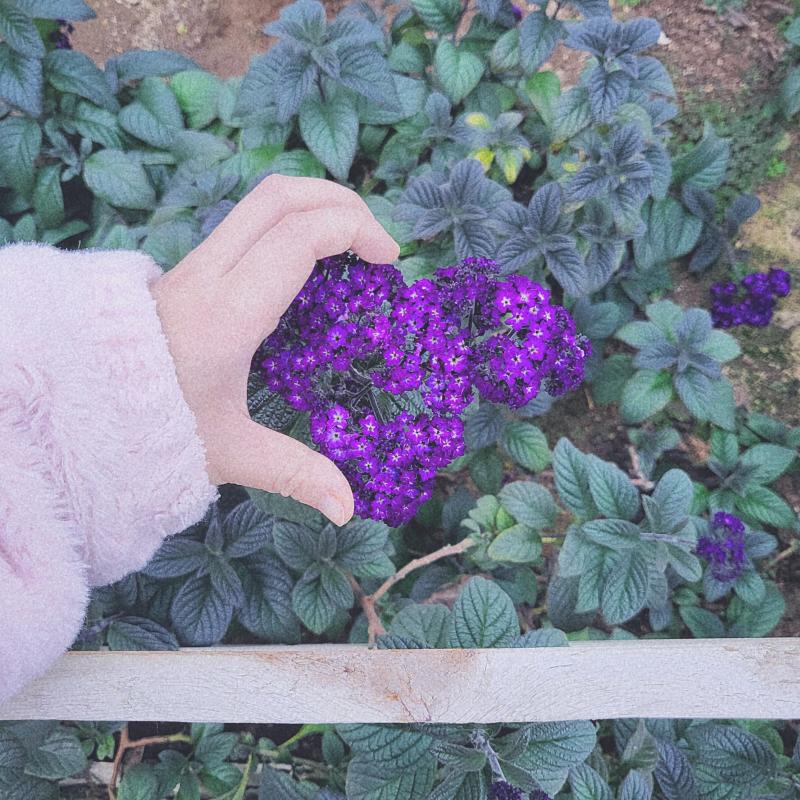 많이 왔던 곳인데 늘 새로움 익숙한 부분도 있지만