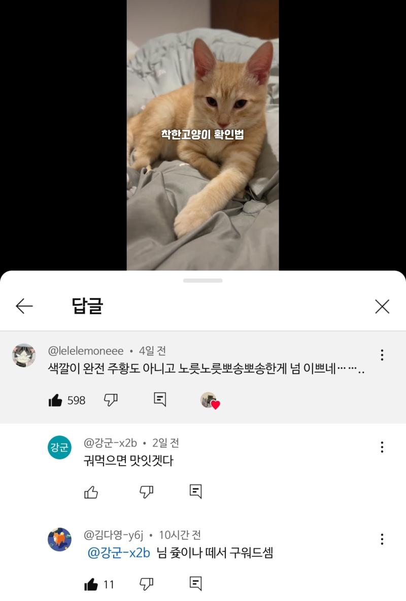 아 겁나웃기네