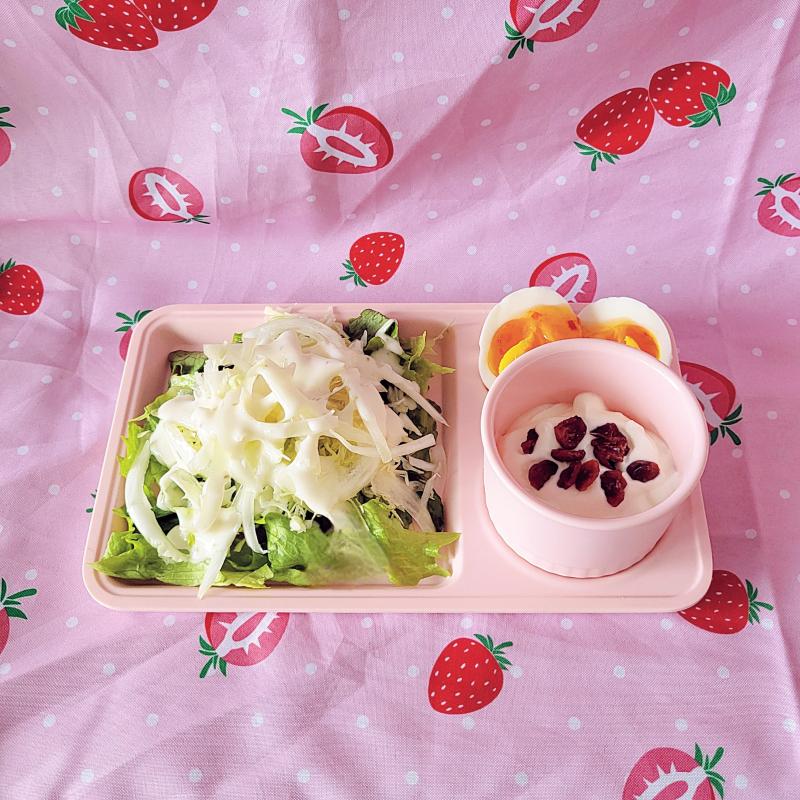 샐러드🥗 삶은계란🥚 그릭요거트🫙 💬 요즘 샐러드 먹기 챌린지 중