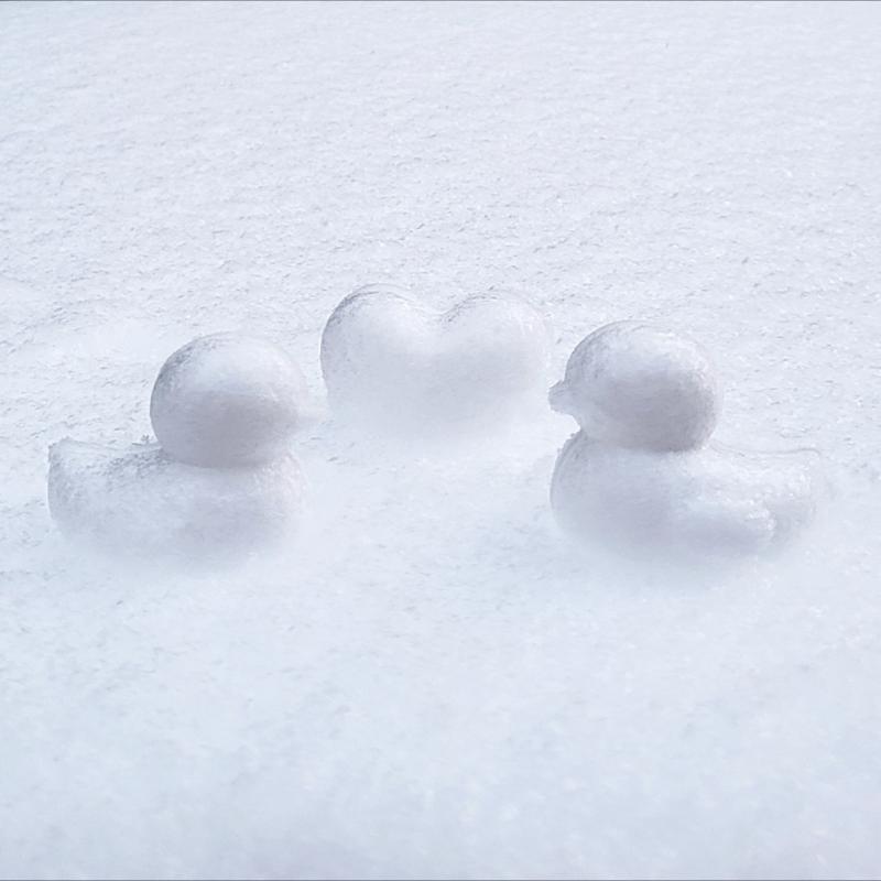 컨디션이 좋지 않지만 눈 왔는데 안 놀긴 섭하자나 그래서 집 앞에서 잠깐 놀다 와따❄️🩷