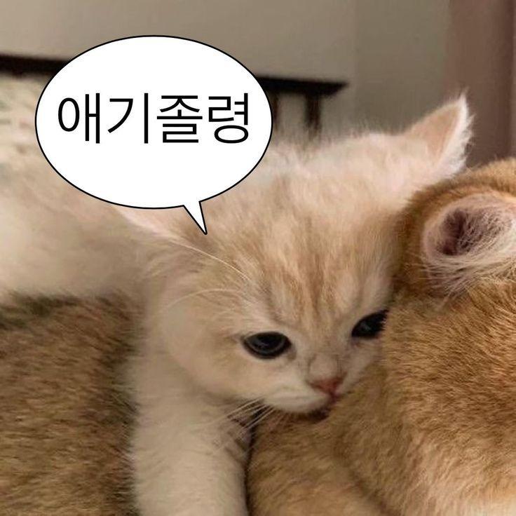 내 상태