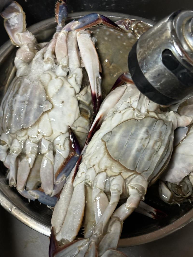 손질 시작