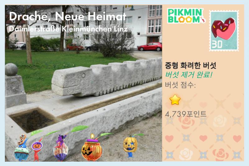이게 용...?