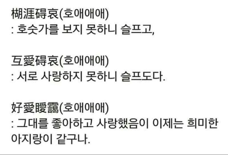 호애애애