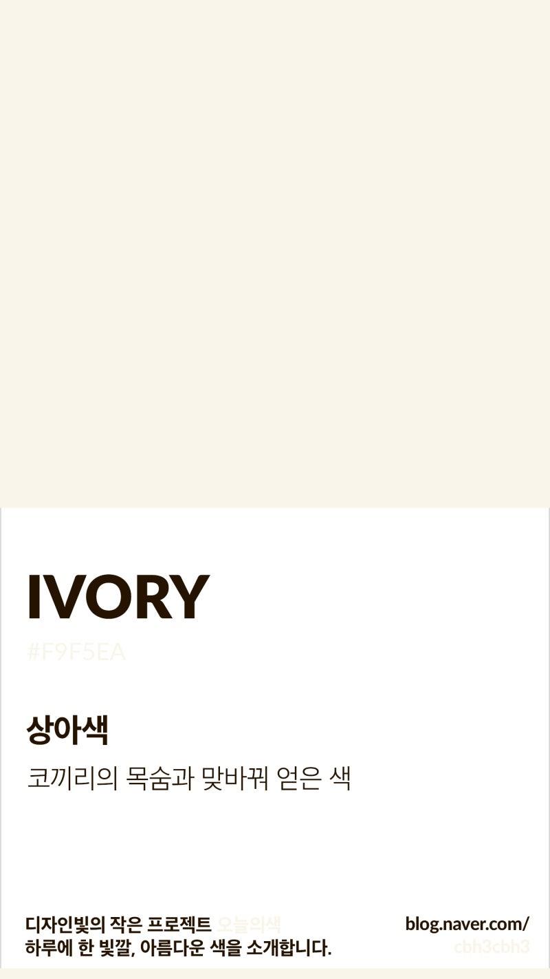 오묘한 흰색이면 아이보리(상아)색 말하는 거구나!