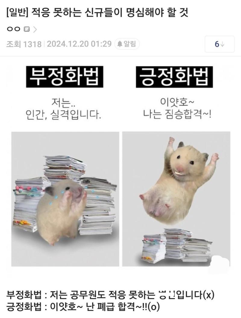 나는 짐승합격!!!