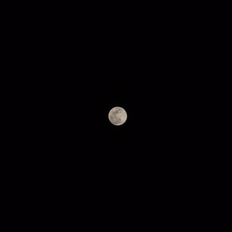 정월대보름🌕