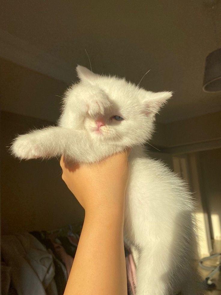 나 너무 많은 일이 있엇어.