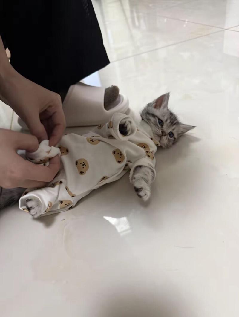 내가 좋아하는 동물짤 힐링하고 좋은 하루 보내 얘들아