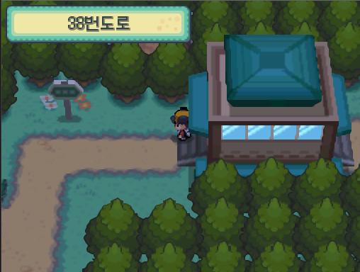 연가람은 38번 도로로 향했다. 38번도로를 걷다가 한 포켓몬 트레이너와 눈이 마주쳤다. "크게 날갯짓해라! 나의 새포켓몬!"