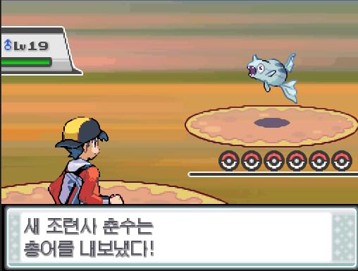 38번도로에서 포켓몬과 만날 수 있는 횟수: 최대 1회/현재 0회 38번도로에서 트레이너와 배틀할 수 있는 횟수: 최대 1회/현재 1회 (특별한