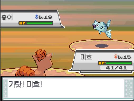 38번도로에서 포켓몬과 만날 수 있는 횟수: 최대 1회/현재 0회 38번도로에서 트레이너와 배틀할 수 있는 횟수: 최대 1회/현재 1회 (특별한