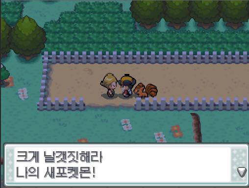 연가람은 38번 도로로 향했다. 38번도로를 걷다가 한 포켓몬 트레이너와 눈이 마주쳤다. "크게 날갯짓해라! 나의 새포켓몬!"