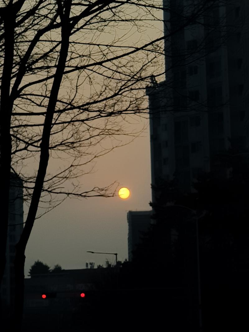 이번에 고3 담임쌤은 날 어떤 학생으로 보셔? 쌤이랑 잘 맞을까? 복채론 산책 갔다 찍은 노을사진