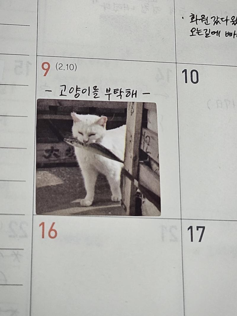 >>712 지원했던 곳에서 전화가 왔다. 합격했다고 00일에 설명회로 찾아오라고 직원분이 말씀해주셨다. 기뻤다. 하루종일 무기력했다. 침대에 누