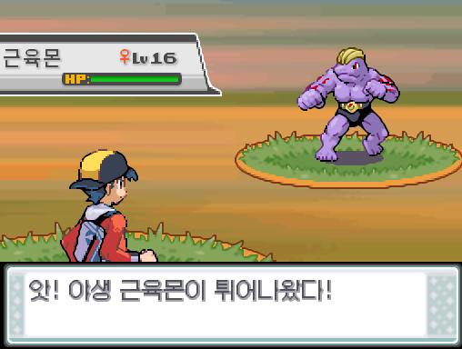 38번도로에서 포켓몬과 만날 수 있는 횟수: 최대 1회/현재 1회 38번도로에서 트레이너와 배틀할 수 있는 횟수: 최대 1회/현재 1회 (특별한